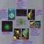 The Millennial Project: Colonizing the Galaxy in Eight Easy Steps