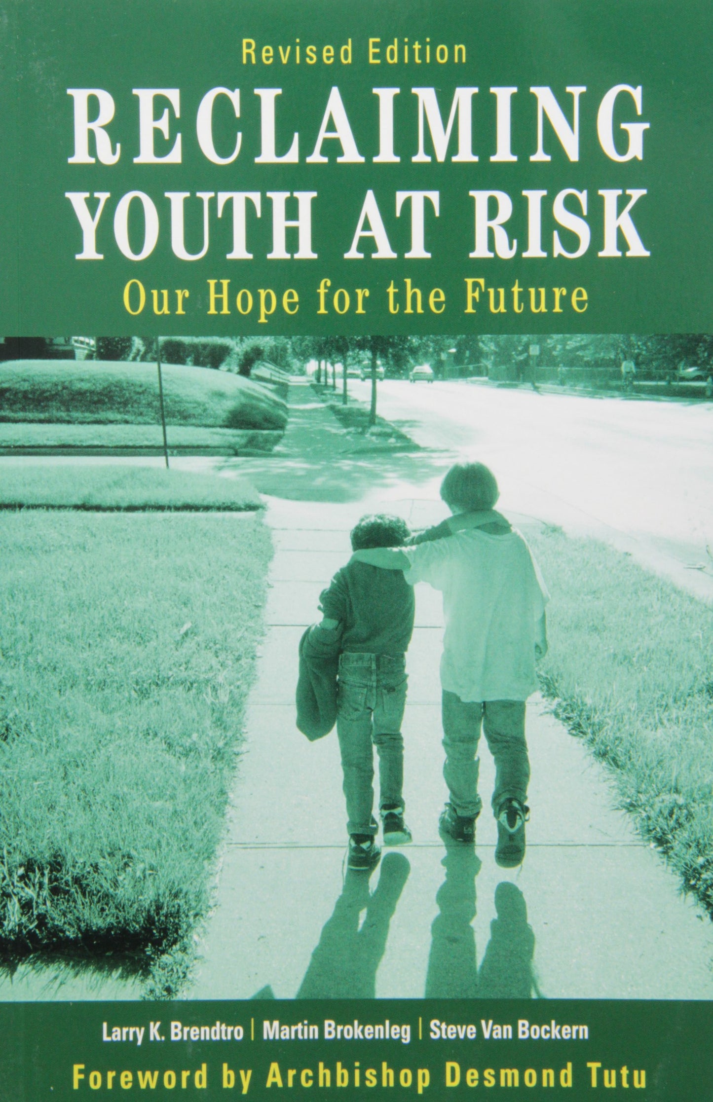 Reclaiming Youth at Risk: Our Hope for the Future by Larry K