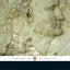 The Histories (Penguin Classics)