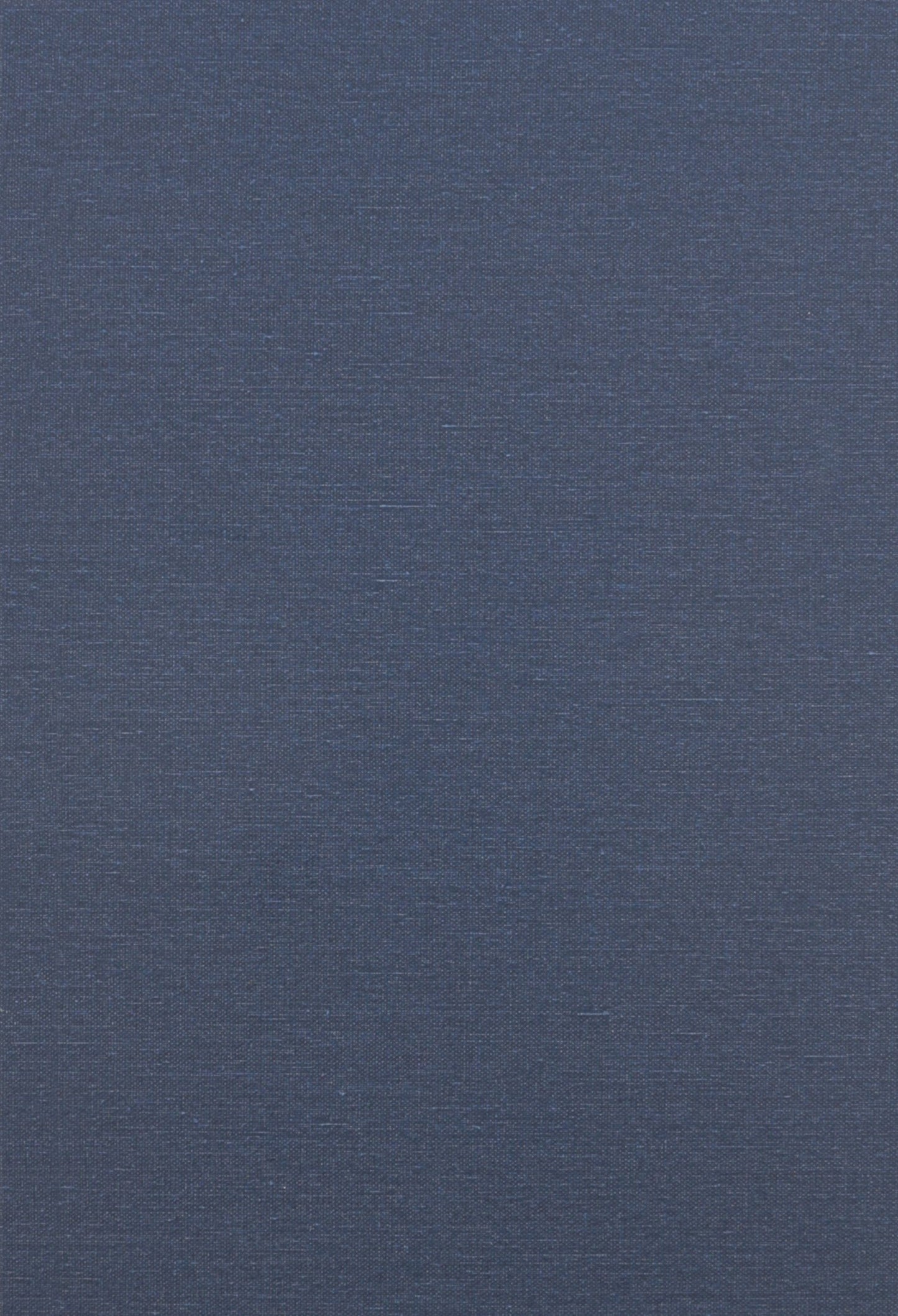 Movement and Institution (European Perspectives S)