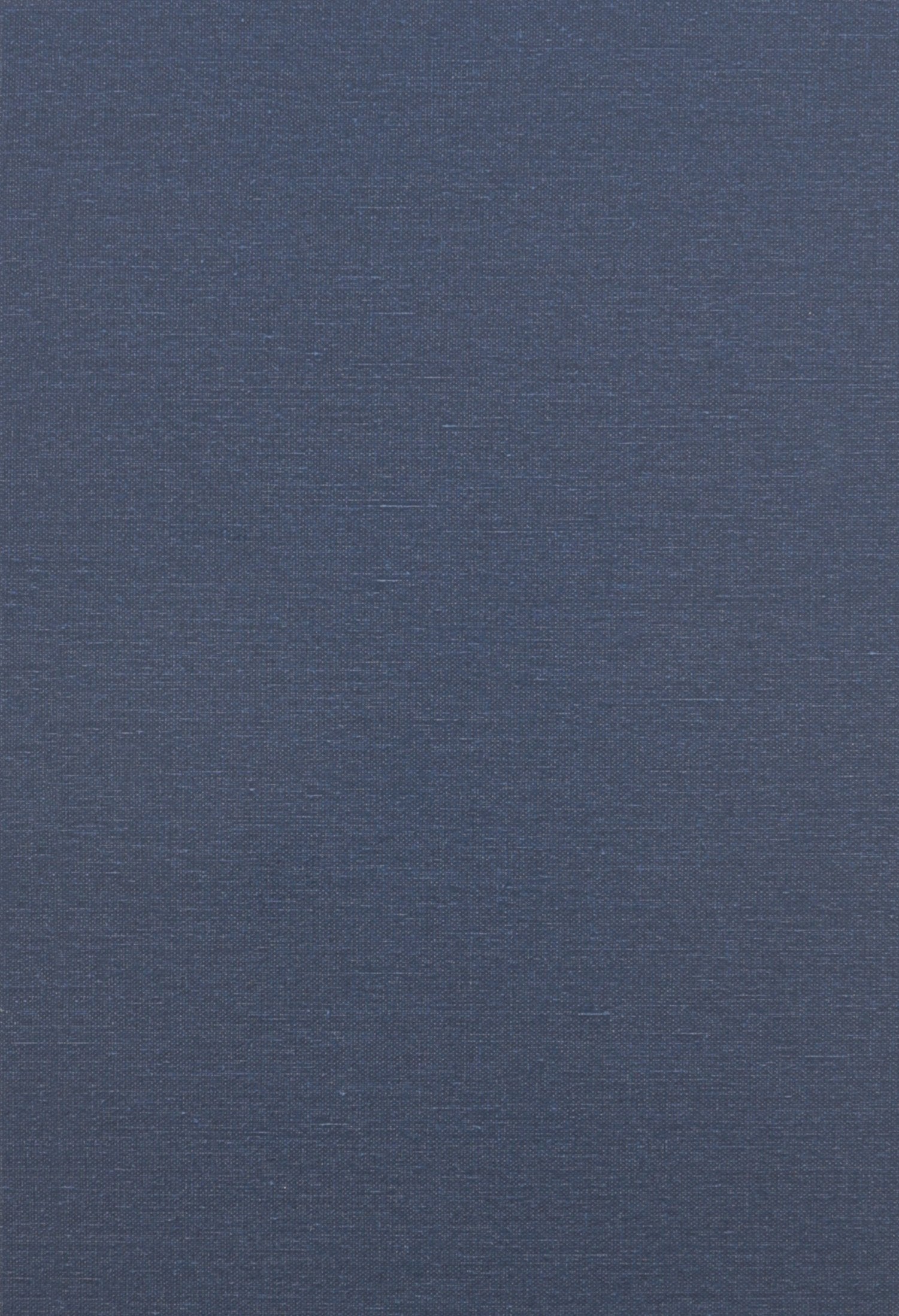 Movement and Institution (European Perspectives S)