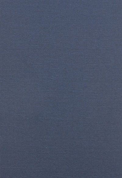 Movement and Institution (European Perspectives S)