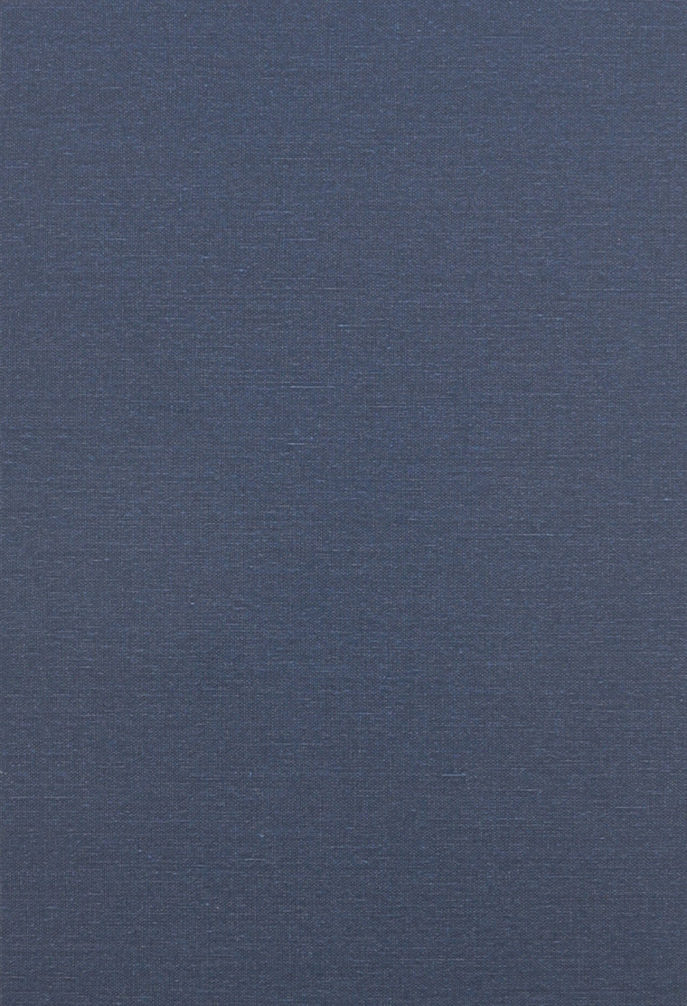 Movement and Institution (European Perspectives S)
