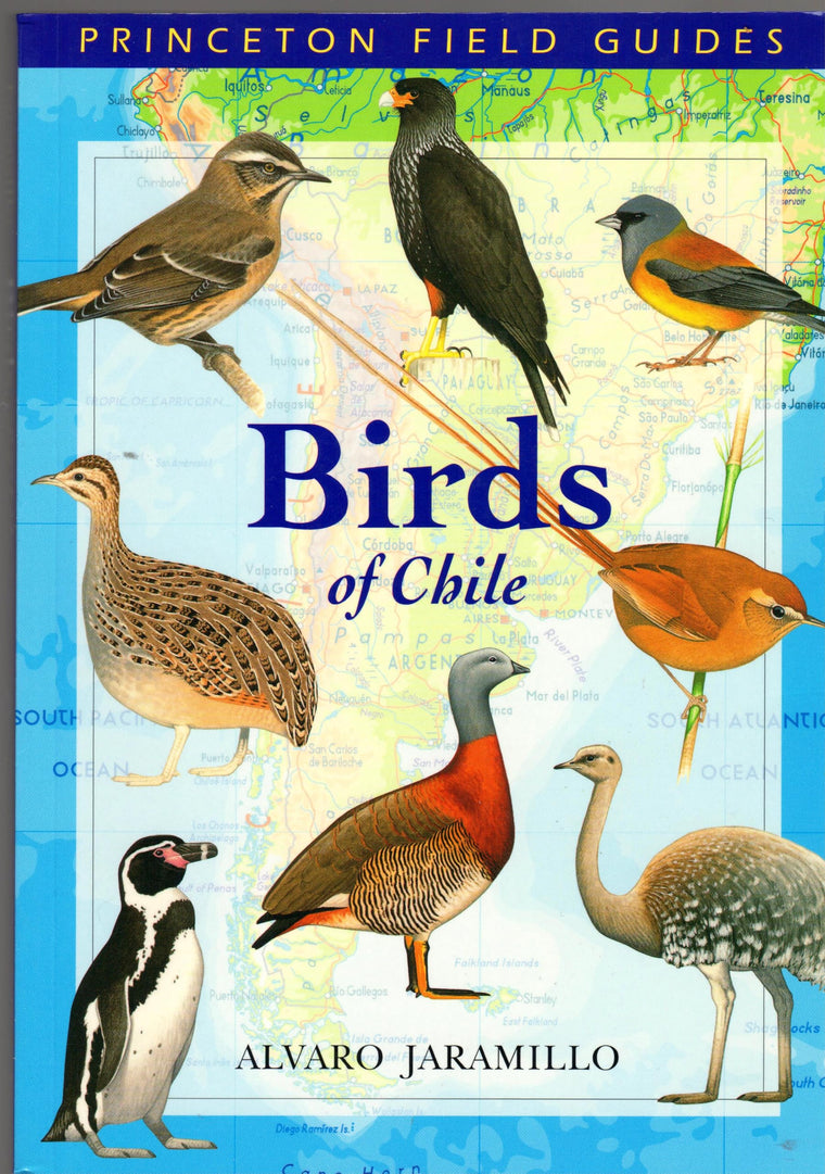 Birds of Chile (Princeton Field Guides) by Jaramillo, Alvaro