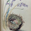 The Nature Notes of an Edwardian Lady