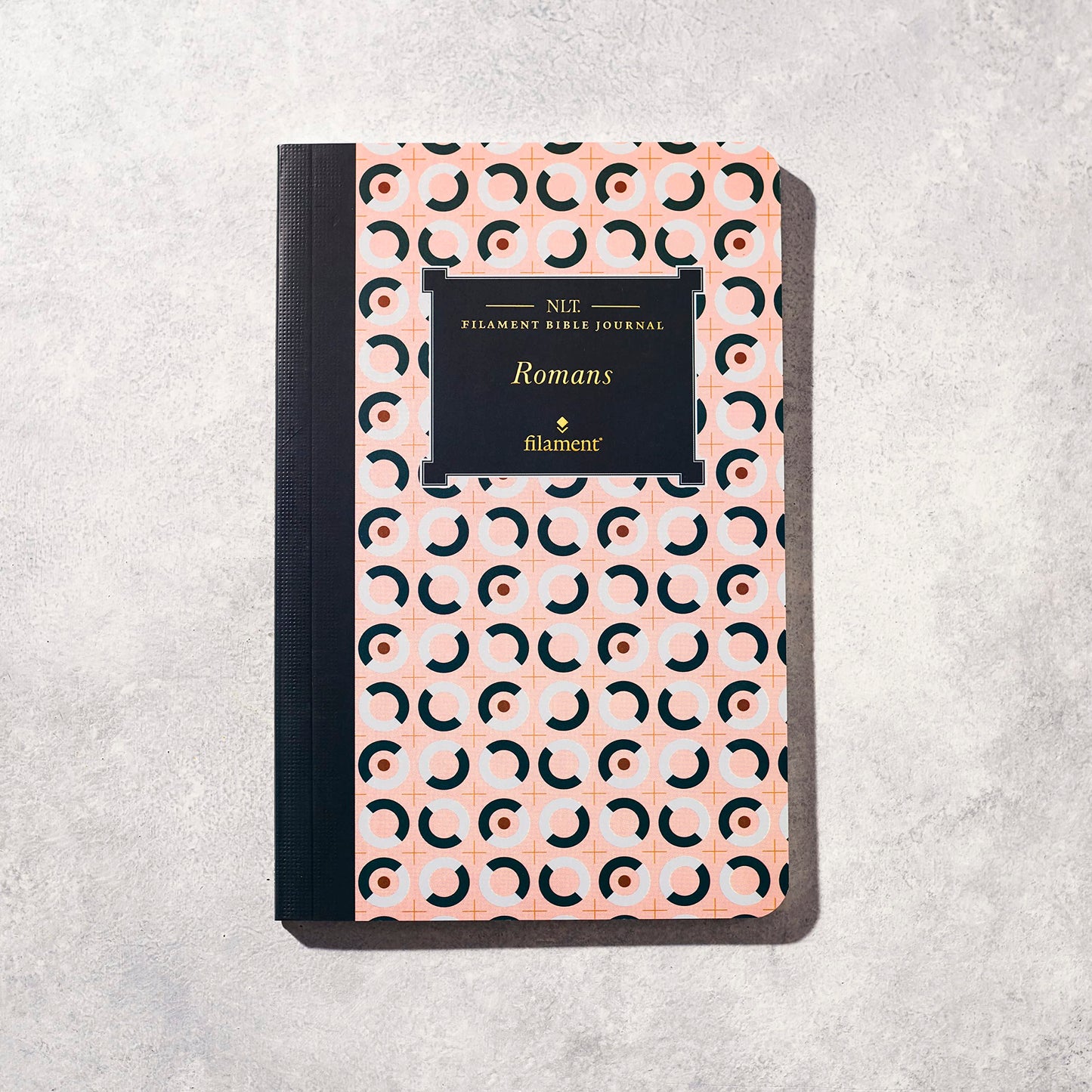NLT Filament Bible Journal: Romans (Softcover)