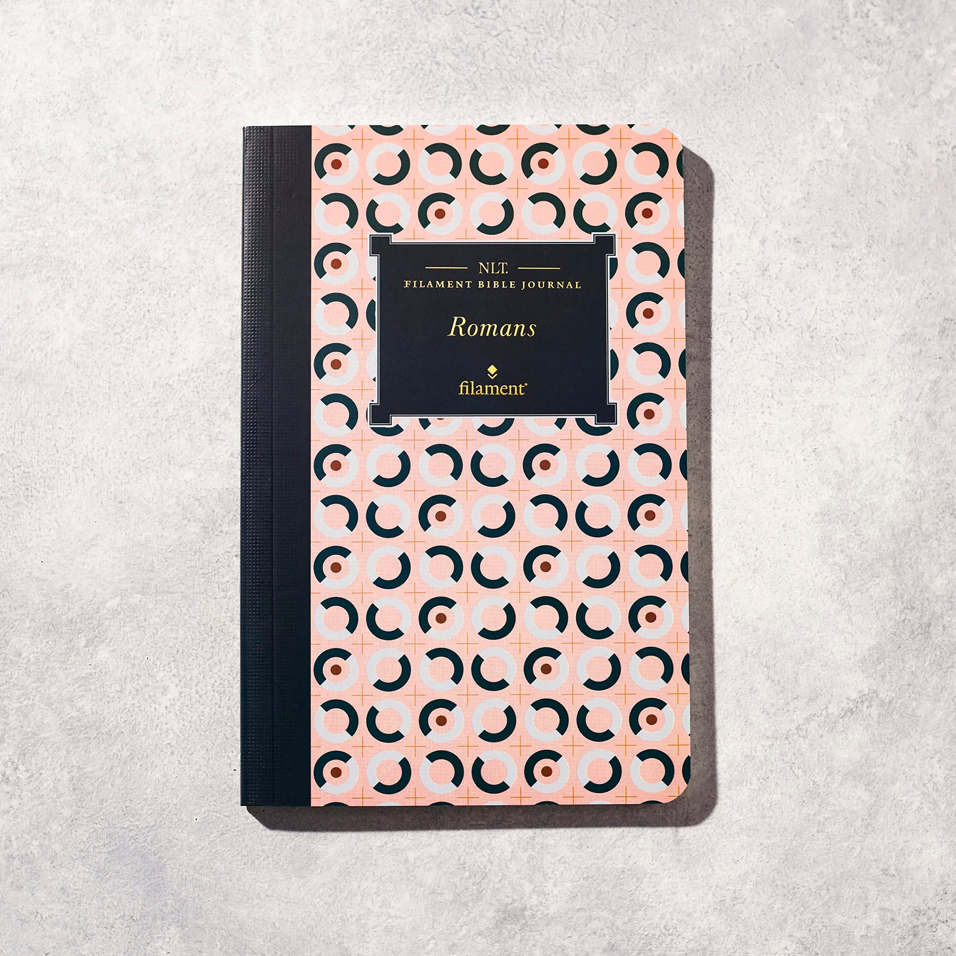 NLT Filament Bible Journal: Romans (Softcover)