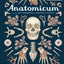 Anatomicum: Welcome to the Museum