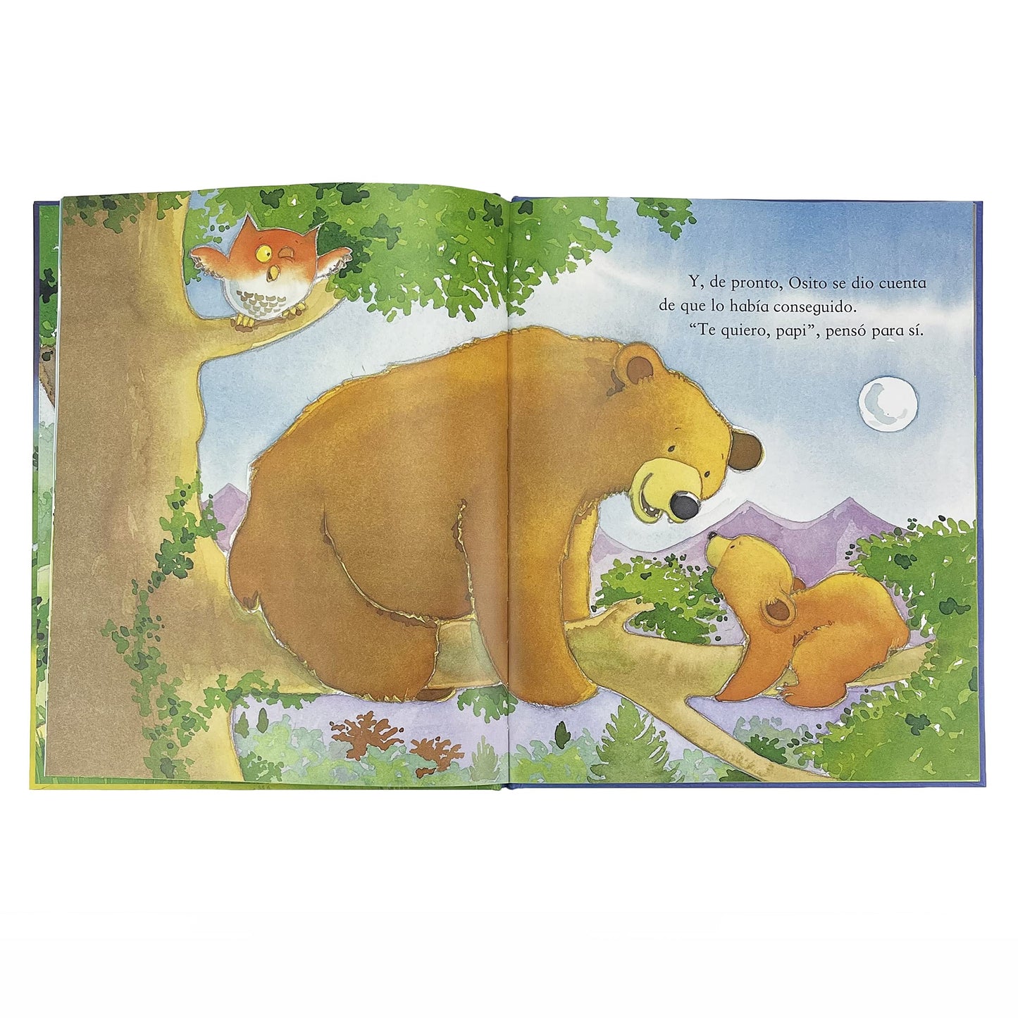 Te quiero, papi! / I Love You, Daddy: A Tale of Encouragement and Parental Love between a Father and his Child, Picture Book (Spanish Edition)