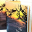 The Treasure Chest: A Heritage Album Containing 1064 Familiar and Inspirational Quotations, Poems, Sentiments, and Prayers from Great Minds of 2500