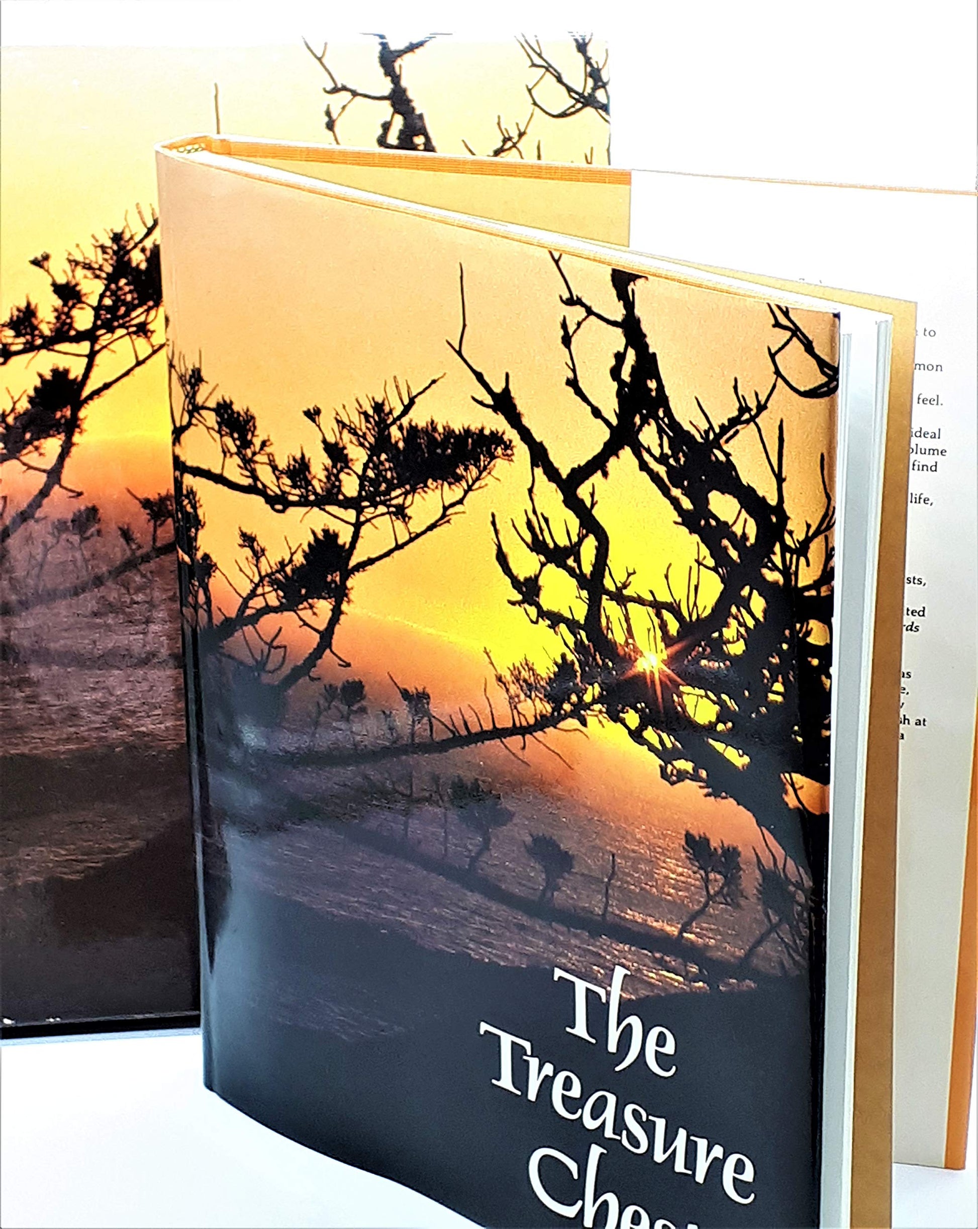 The Treasure Chest: A Heritage Album Containing 1064 Familiar and Inspirational Quotations, Poems, Sentiments, and Prayers from Great Minds of 2500