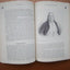 Socrates to Sartre: A history of philosophy by Stumpf, Samue