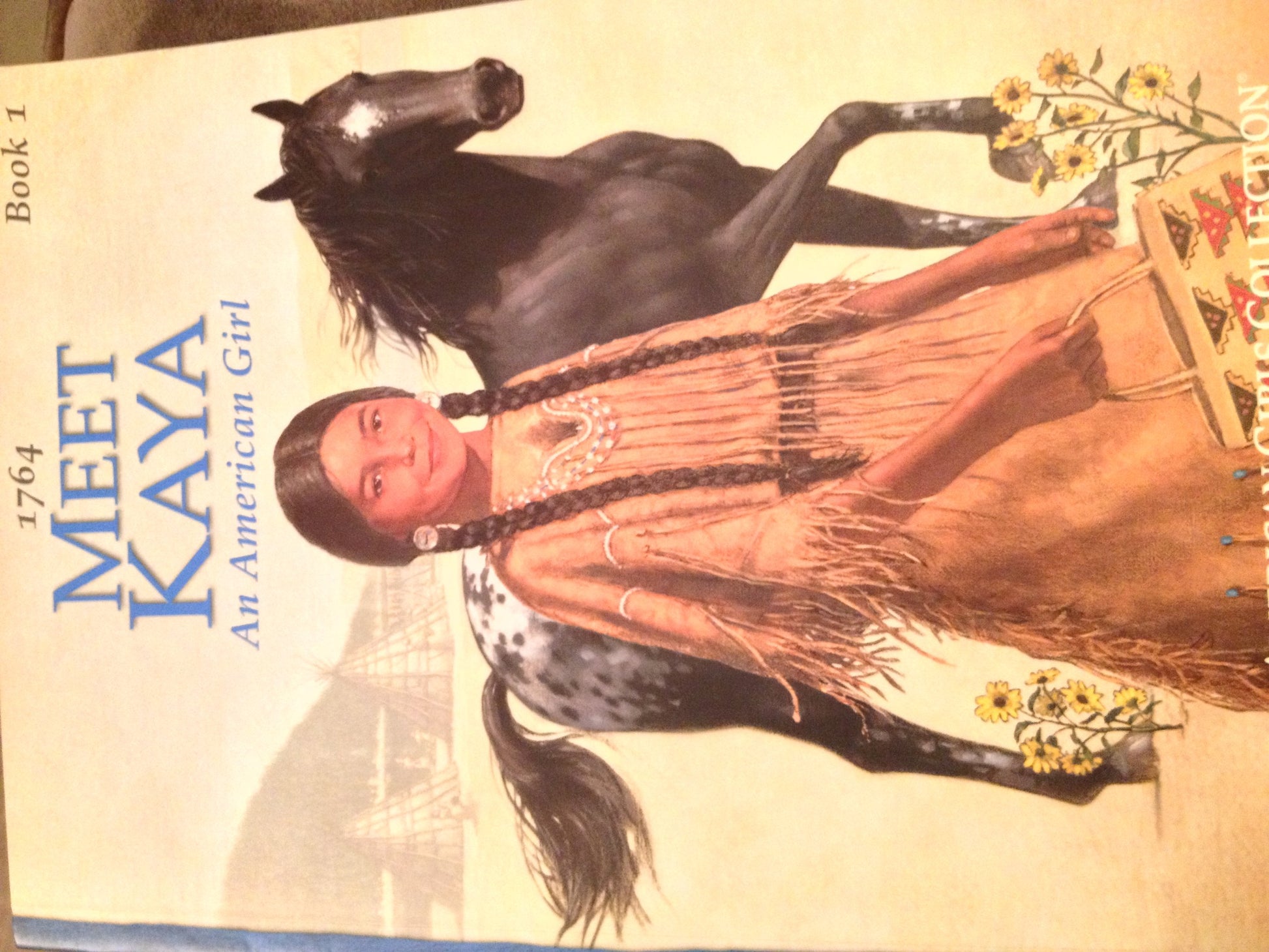 Kaya: An American Girl : 1764 / Box Set
