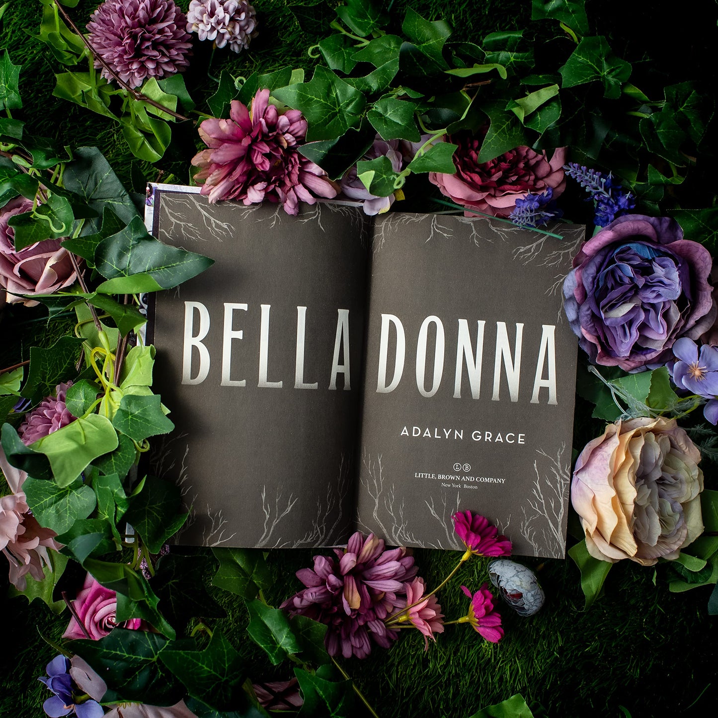 Belladonna (Belladonna, 1)