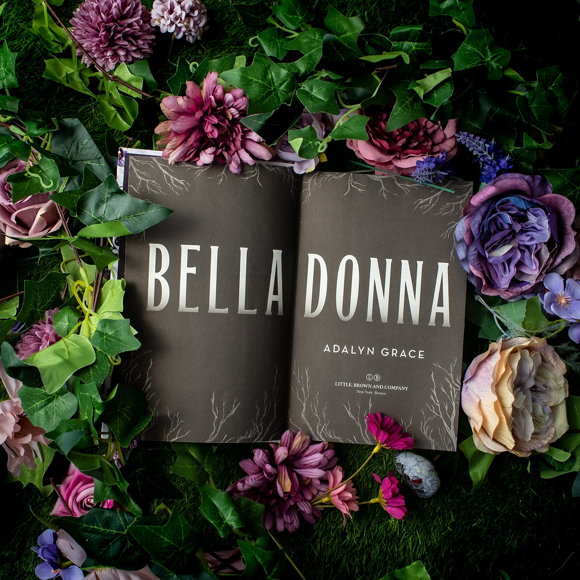 Belladonna (Belladonna, 1)