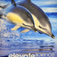 ELEVATE ELEMENTARY SCIENCE 2019 STUDENT EDITION GRADE 1