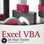 Excel VBA 24-Hour Trainer