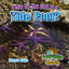 What Do You Find in a Tide Pool? (Ecosystems Close-Up)