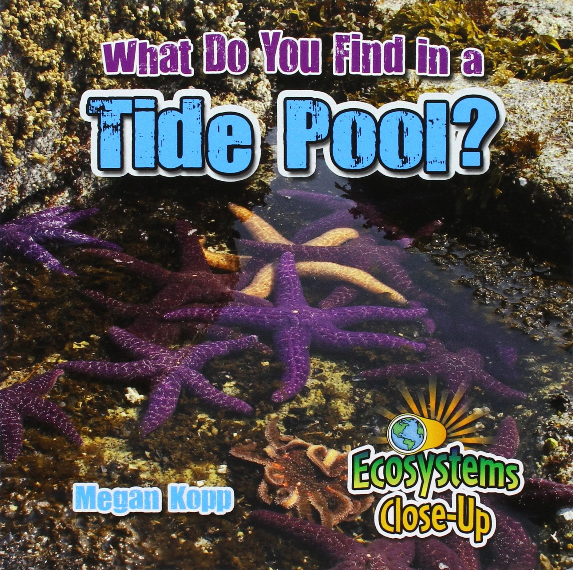 What Do You Find in a Tide Pool? (Ecosystems Close-Up)