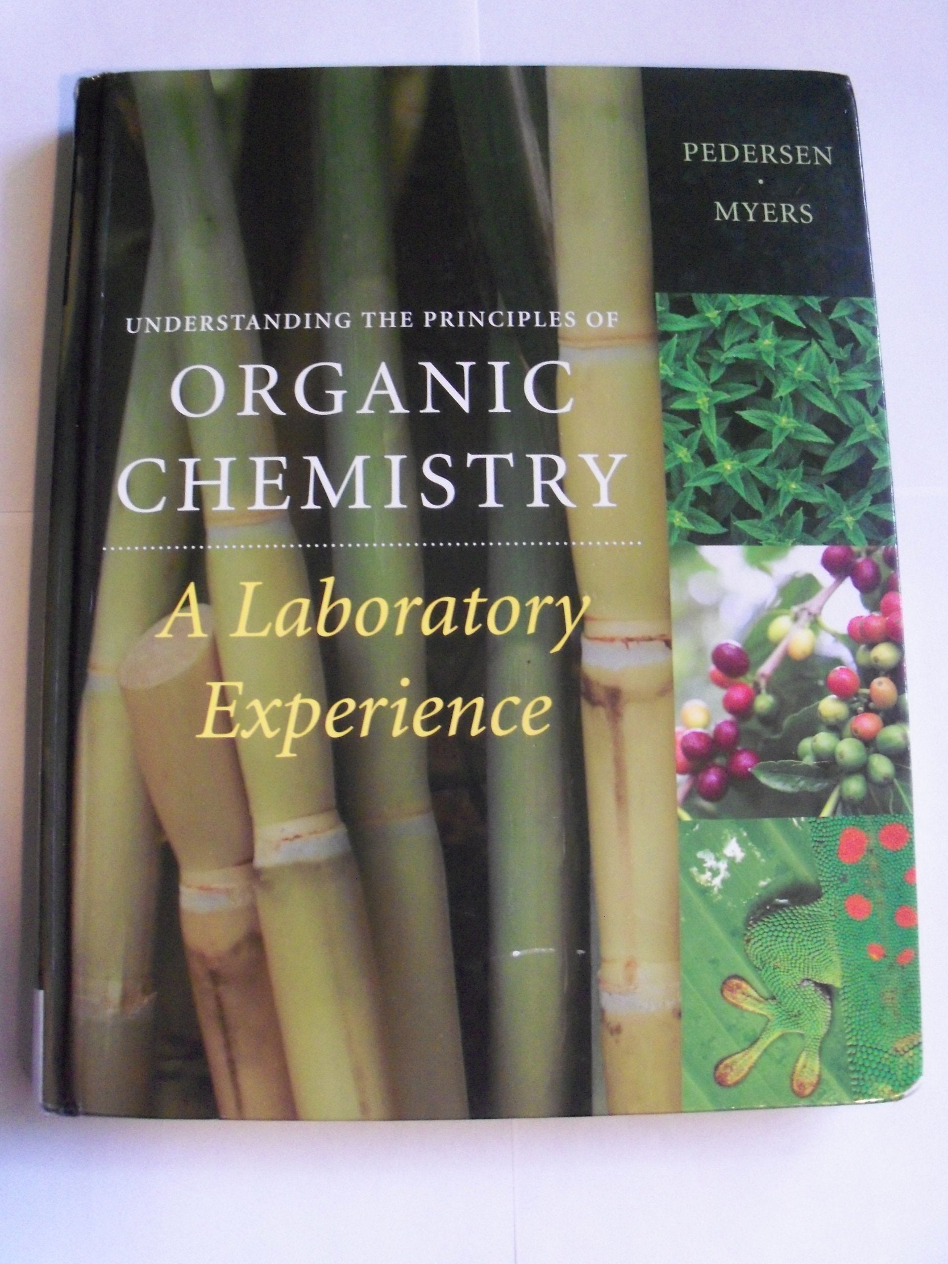 Understanding the Principles of Organic Chemistry: A Laboratory Experience