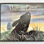 The Watership Down Film Picture Book with Linking Text by R