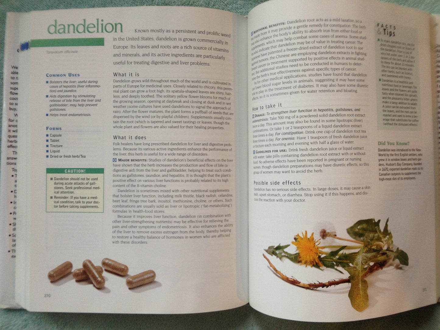 The Healing Power of Vitamins, Minerals, and Herbs