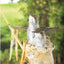 First Flight: A Mother Hummingbird's Story