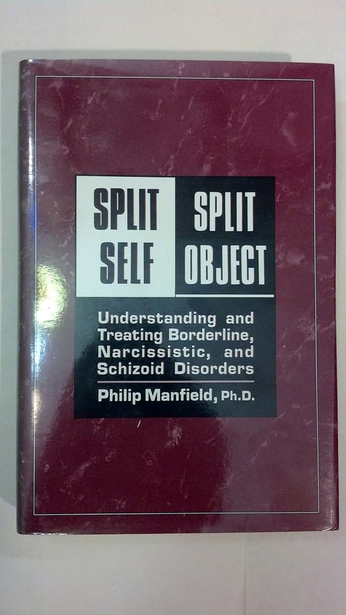 Split Self/Split Object: Understanding and Treating Borderline, Narcissistic, and Schizoid Disorders