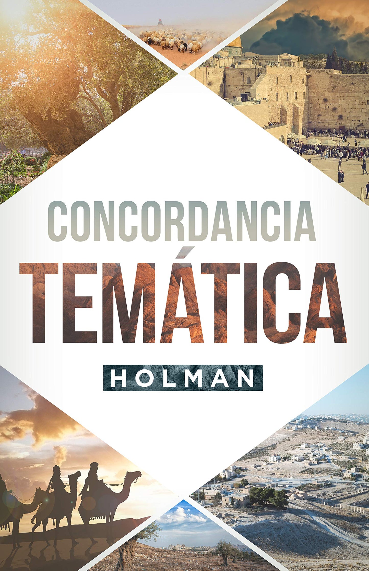 Concordancia Temática Holman  Holman Concise Topical Concordance (Spanish Edition)