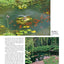 Garden Ponds, Fountains & Waterfalls for Your Home: Designin