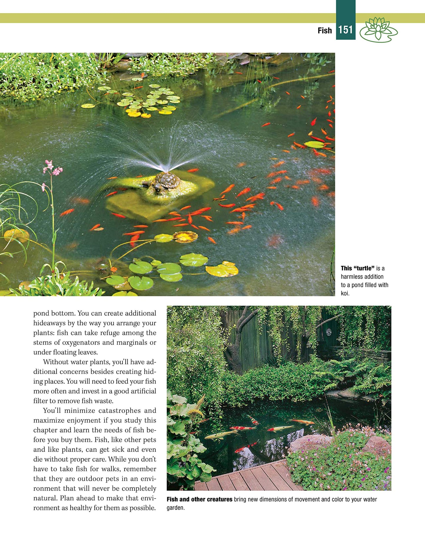 Garden Ponds, Fountains & Waterfalls for Your Home: Designin