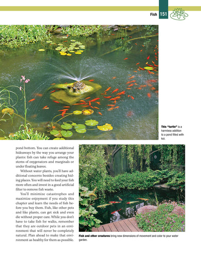 Garden Ponds, Fountains & Waterfalls for Your Home: Designin