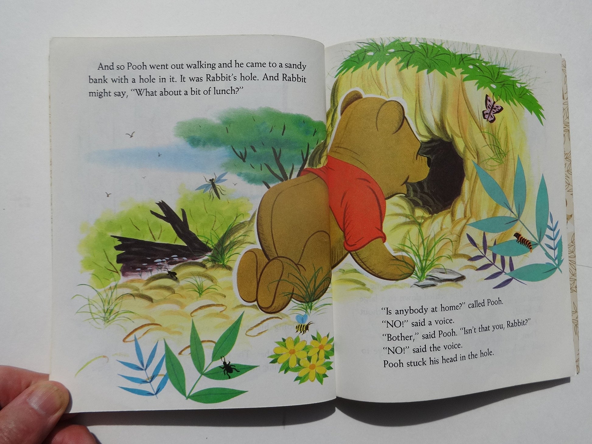 Winnie the Pooh Meets Gopher (Winnie the Pooh, Meets Gopher)