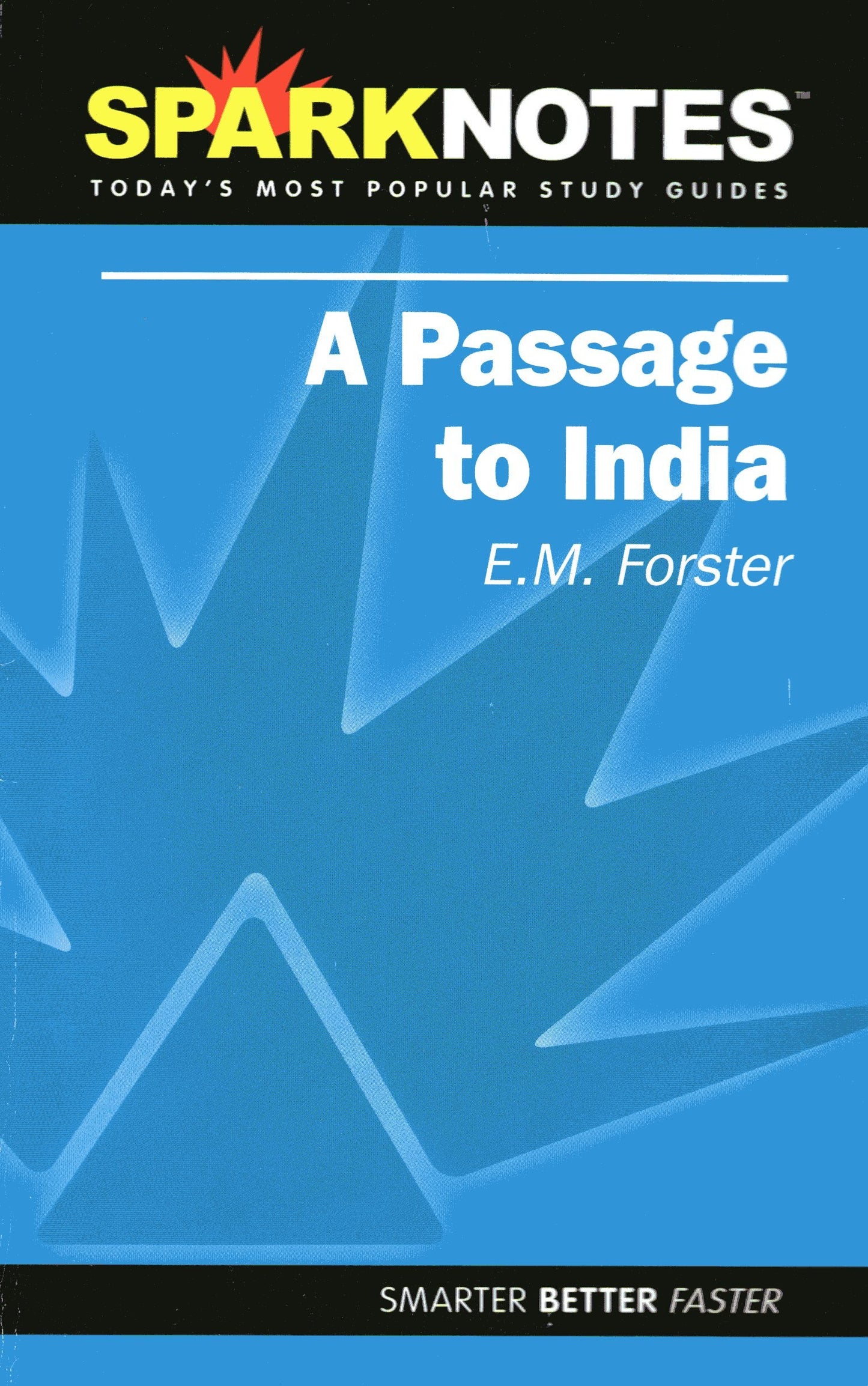 A Passage to India (SparkNotes Literature Guide) (SparkNotes Literature Guide Series)