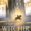 The Tower of Swallows (The Witcher, 6)