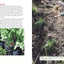 The Foodscape Revolution: Finding a Better Way to Make Space for Food and Beauty in Your Garden