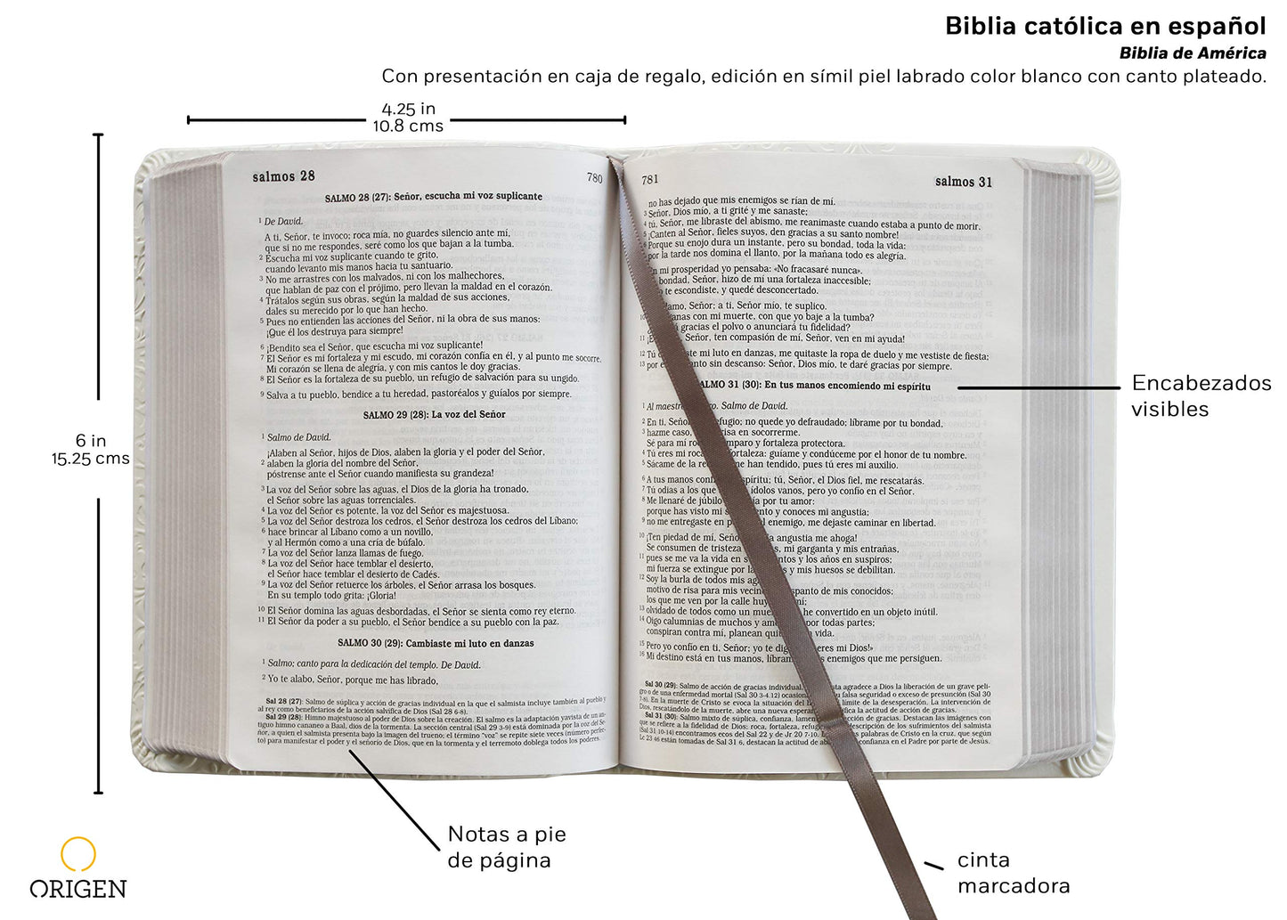 Biblia Católica en espaol. Boda, bautizo, primera comunión, confirmación y cumpleaos. Caja blanca regalo / Catholic Bible. Spanish-Language, Leathersoft, (Spanish Edition)