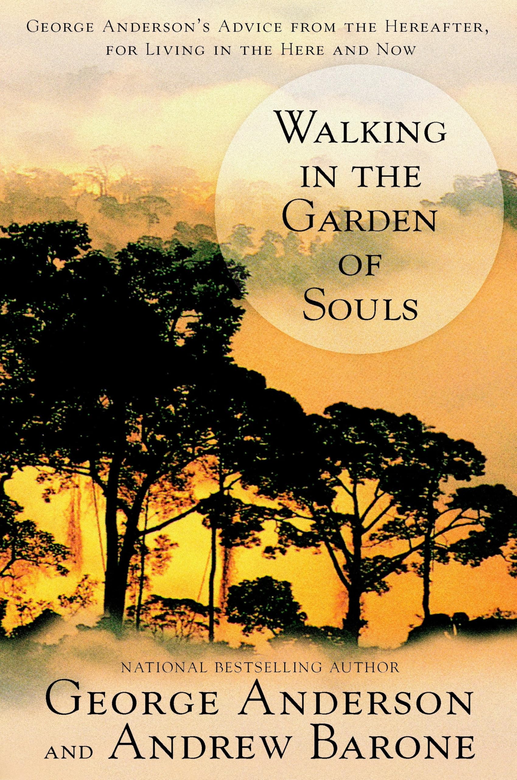 Walking in the Garden of Souls: George Anderson's Advice from the Hereafter for Living in he Here and Now