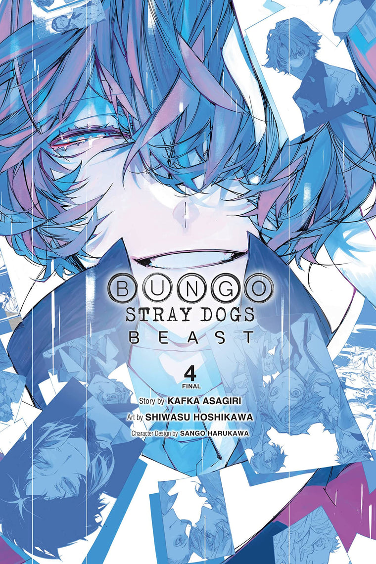 Bungo Stray Dogs: Beast, Vol. 4 (Volume 4)