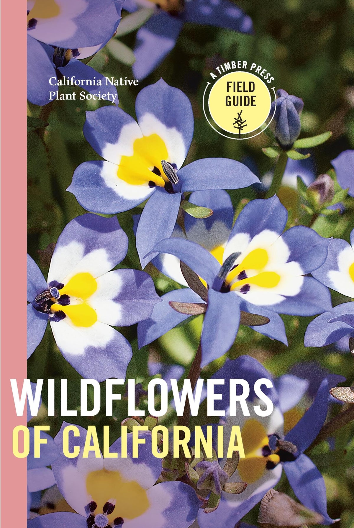 Wildflowers of California (A Timber Press Field Guide)