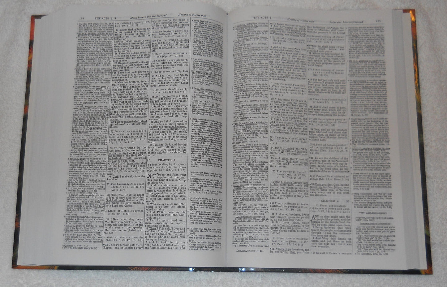 Dake Annotated Reference Bible-KJV