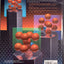 Materials Science and Engineering: An Introduction