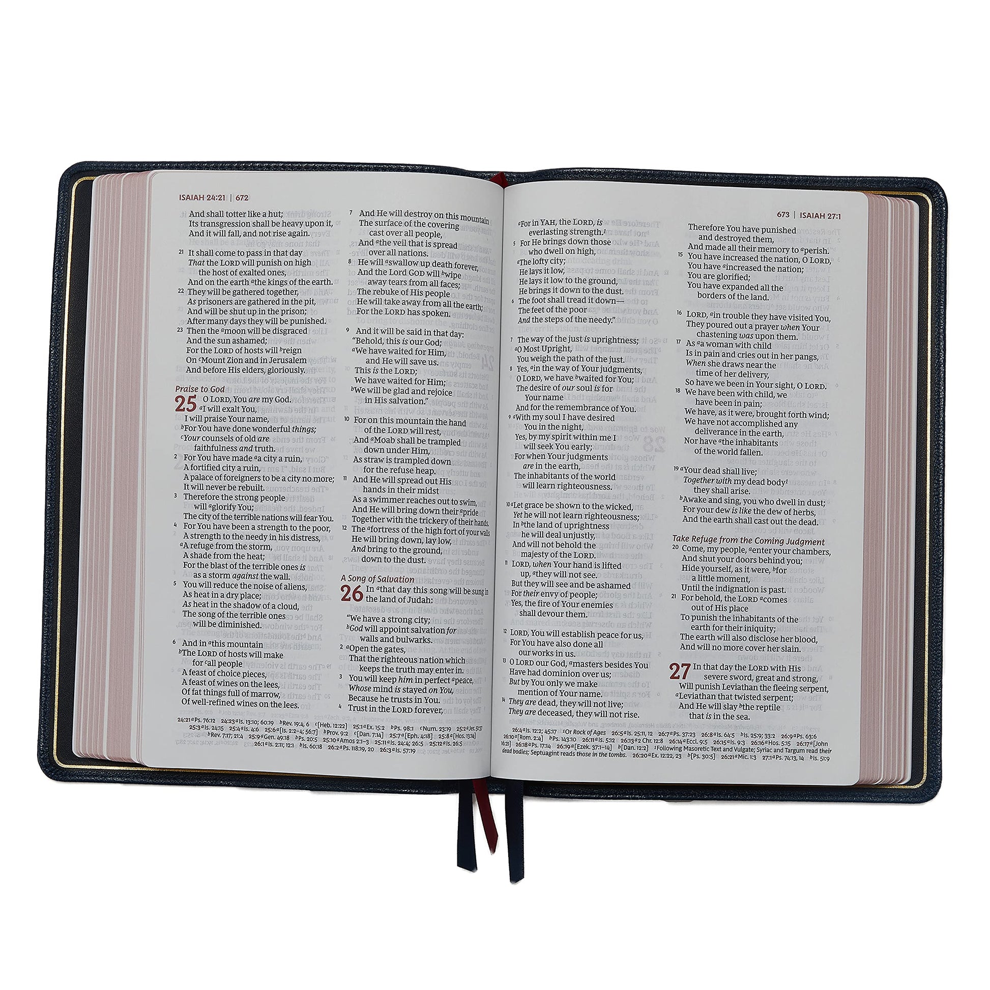 NKJV, Thinline Reference Bible, Large Print, Premium Goatskin Leather, Black, Premier Collection, Comfort Print: Holy Bible, New King James Version