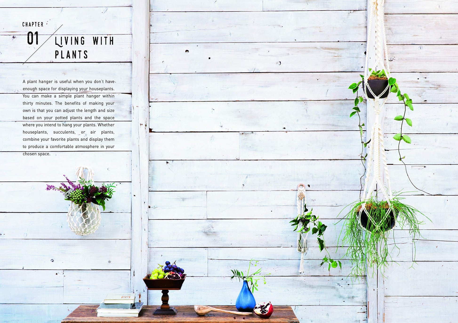 Macrame Decor: 25 Boho-Chic Patterns and Project Ideas