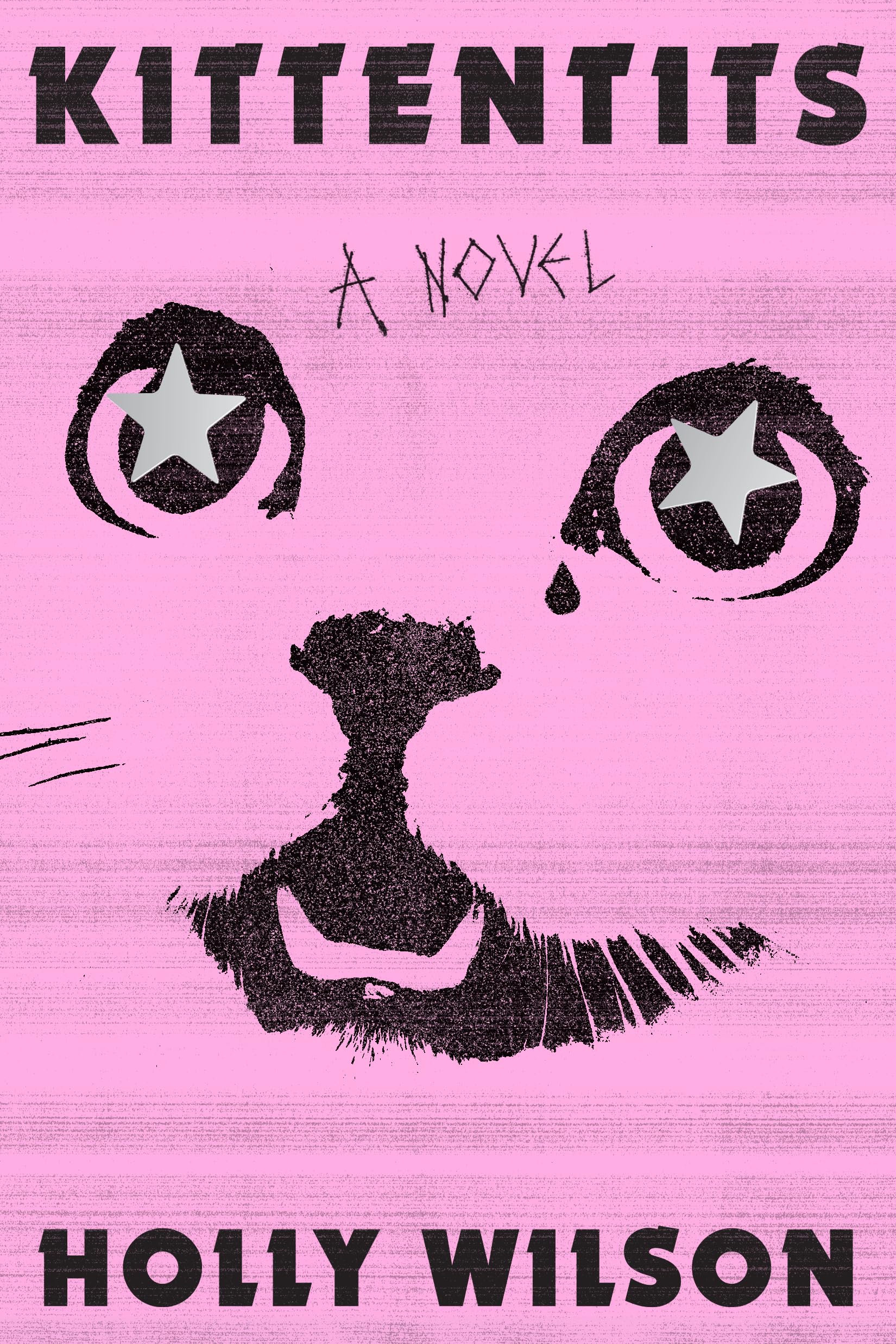 Kittentits: A Novel (Gillian Flynn)