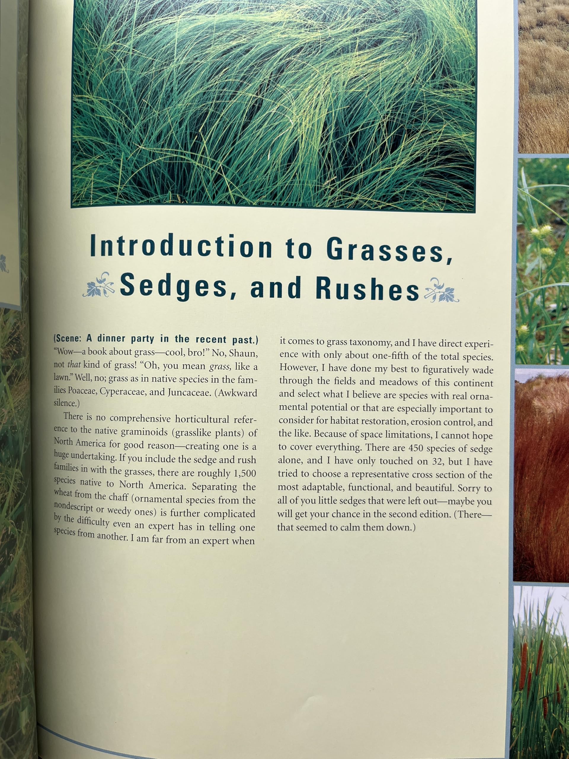 Native Ferns, Moss & Grasses