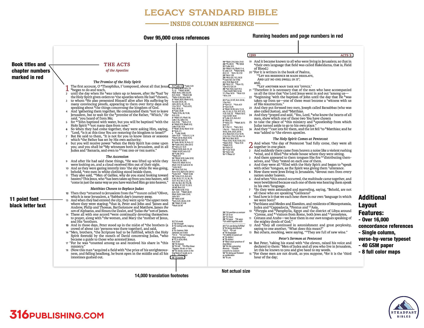 LSB Holy Bible, Large Print, Black Premium Genuine Leather (Cowhide): Legacy Standard Bible with Inside Column Cross References, 40 GSM paper, 2 Ribbon Markers, and Gold Gilded Page Edges
