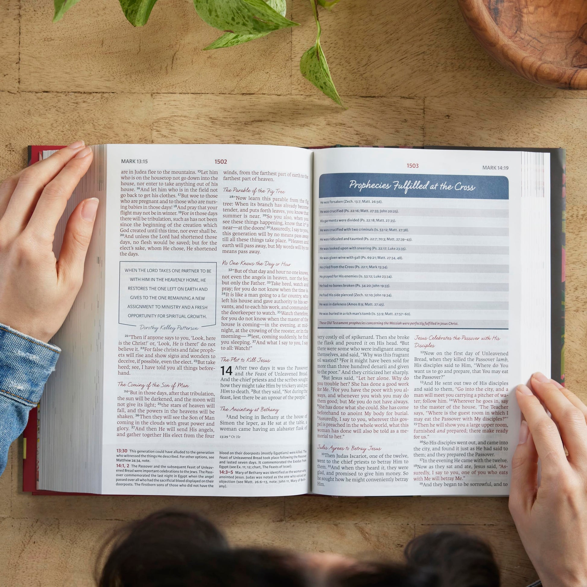 NKJV, The Woman's Study Bible, Leathersoft, Blue, Red Letter, Full-Color Edition: Receiving God's Truth for Balance, Hope, and Transformation
