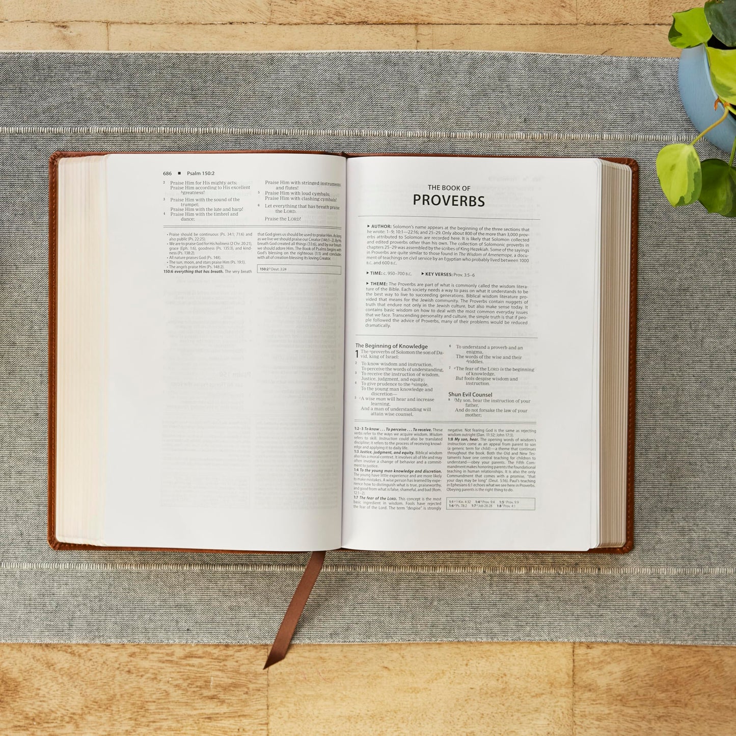 NKJV Foundation Study Bible, Wide-Margin, Brown Leathersoft, Red Letter