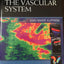 The Vascular System (Diagnostic Medical Sonography)